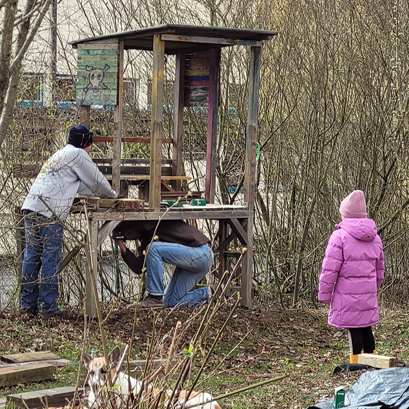 Aktuelles-Garteninsel03