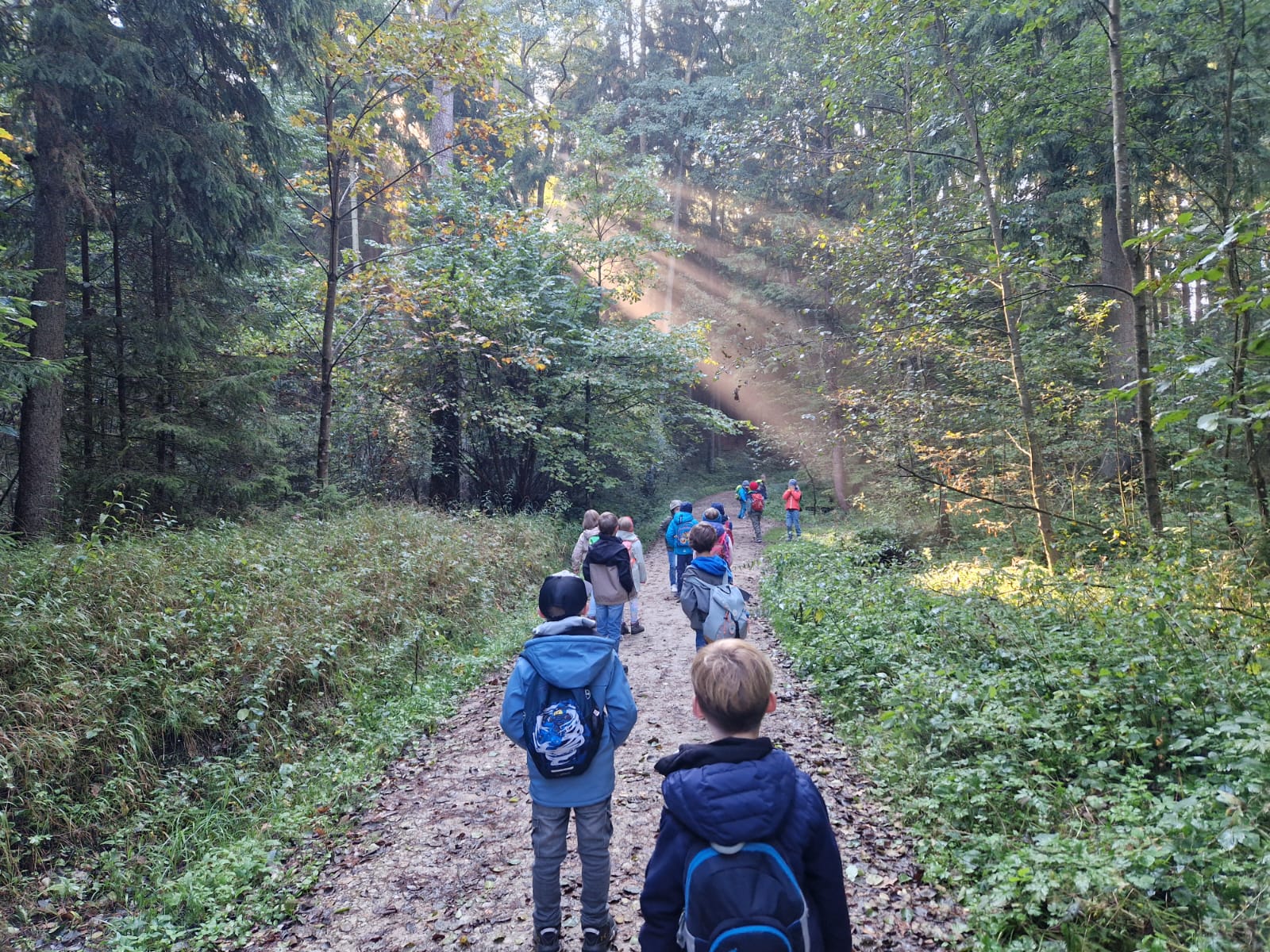 Auf dem Bild sind bunte Schulrucksäcke zu sehen.