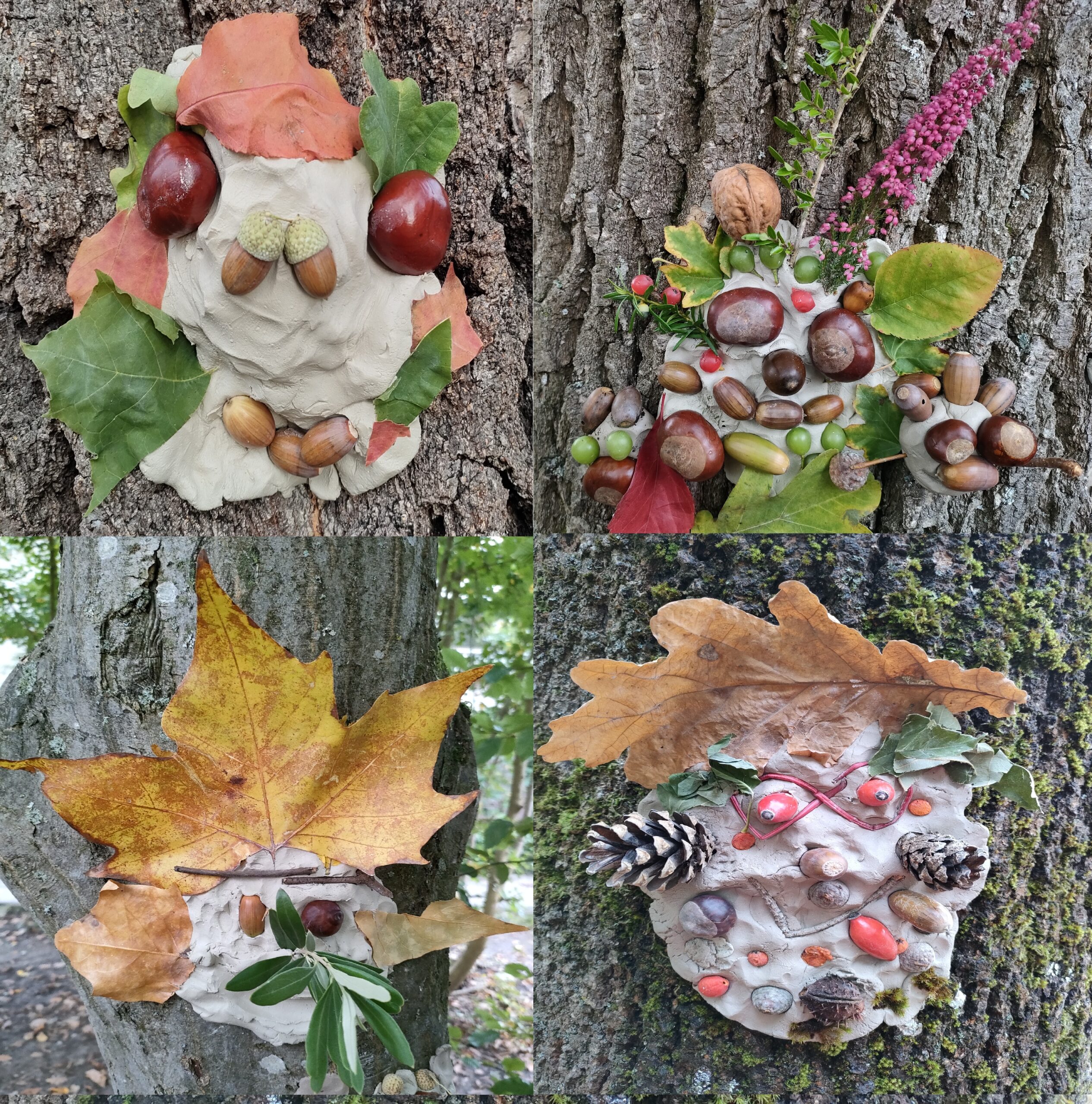 Auf dem Bild sind bunte Schulrucksäcke zu sehen.