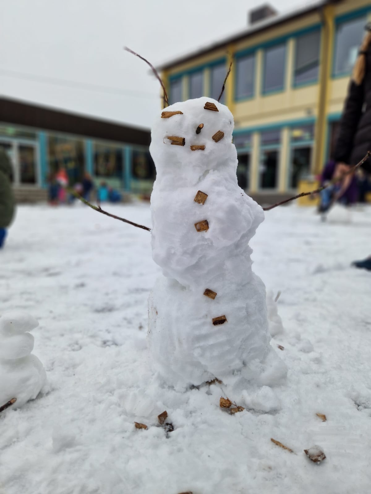 Auf dem Bild sind bunte Schulrucksäcke zu sehen.